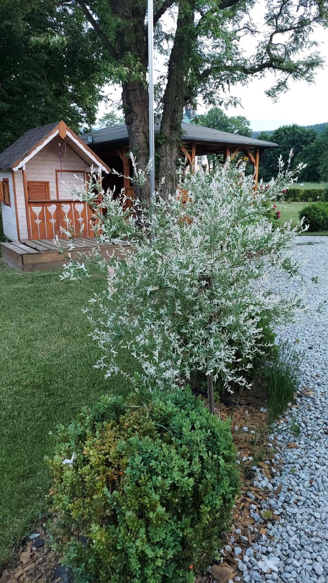 Domki U Justyny Podgórzyn Exteriér fotografie